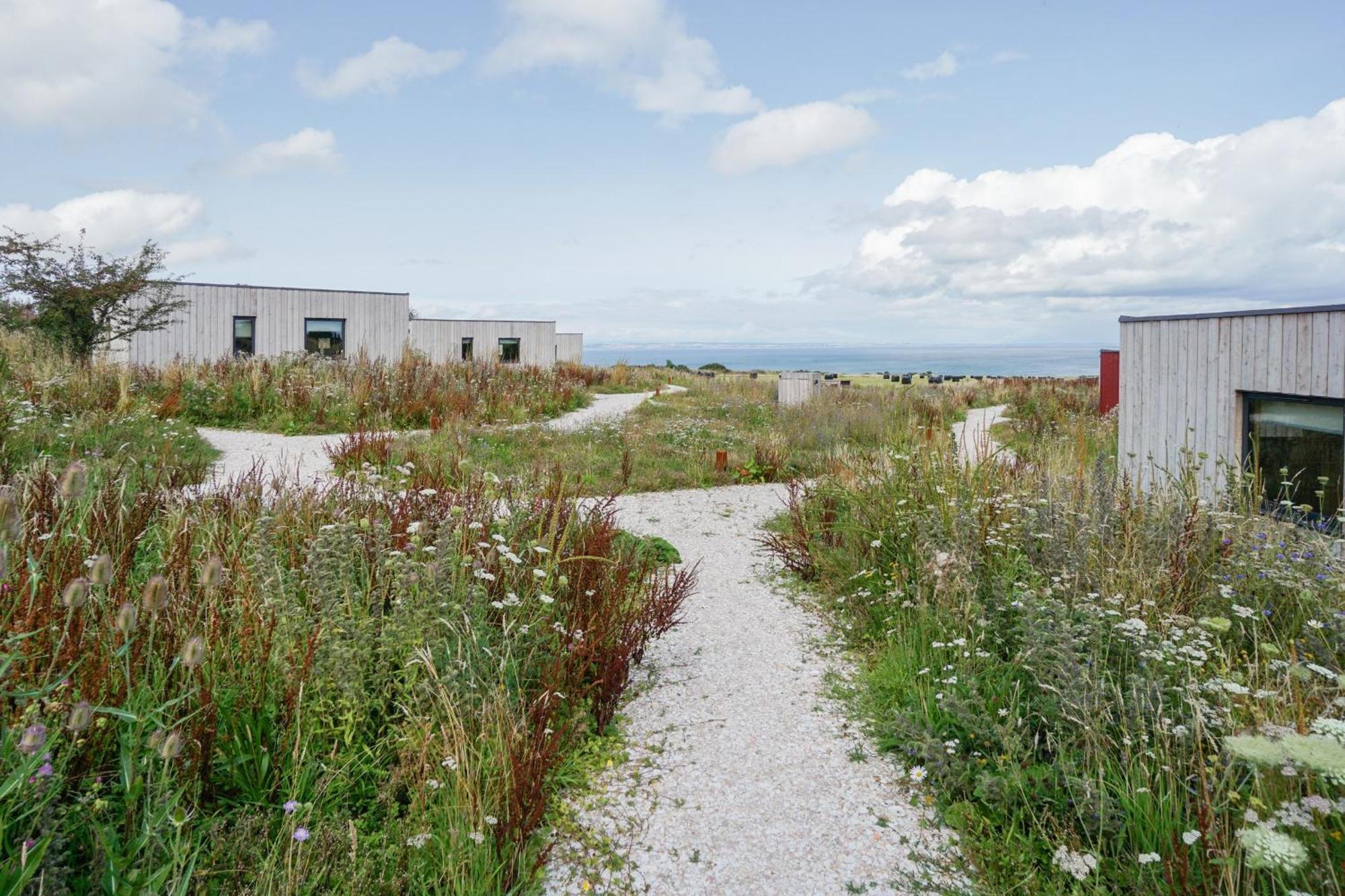 Rustic Cabins, Sea Views From Rewilded Farm With Highland Cows Сент-Андрус Экстерьер фото