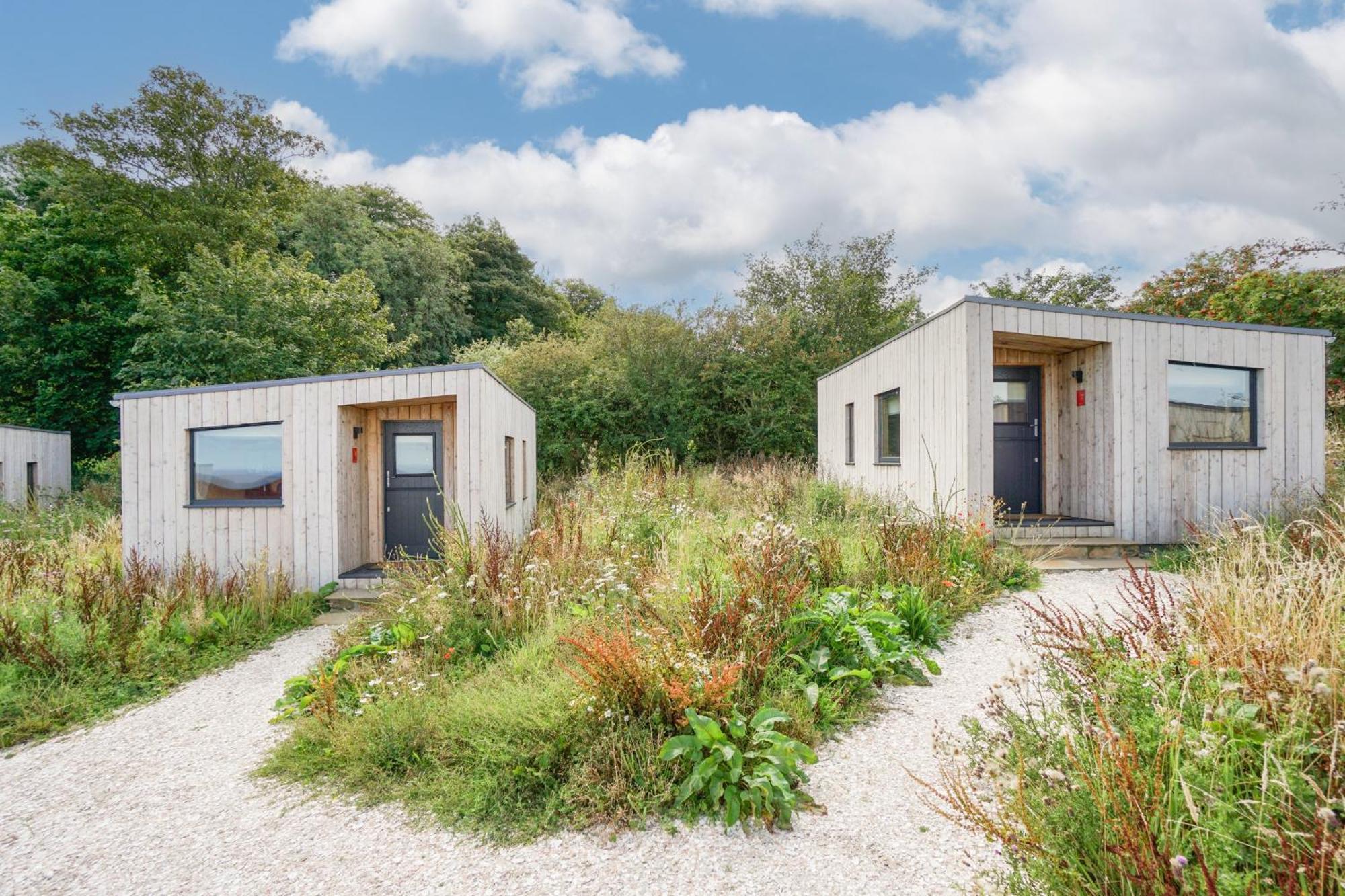 Rustic Cabins, Sea Views From Rewilded Farm With Highland Cows Сент-Андрус Экстерьер фото